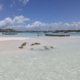 Traditional wooden boats in shallow turquoise water on a beach in Watamu, Kenya.