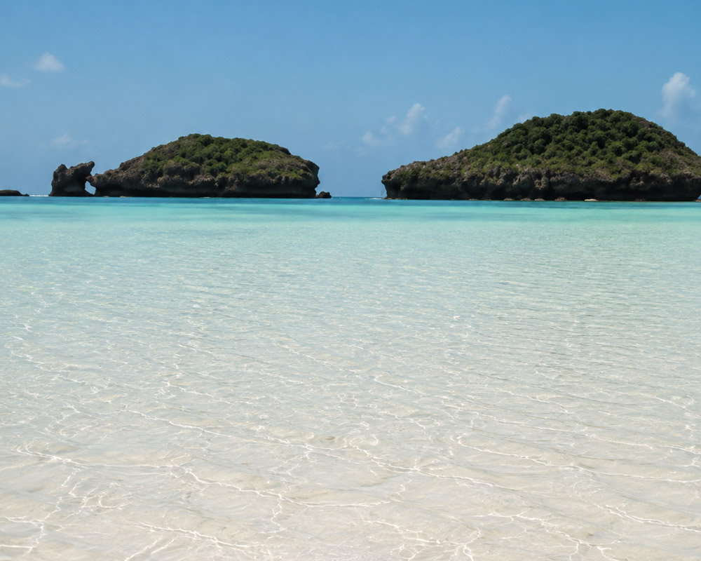 Walking through the natural coastal landscape of Watamu, Kenya